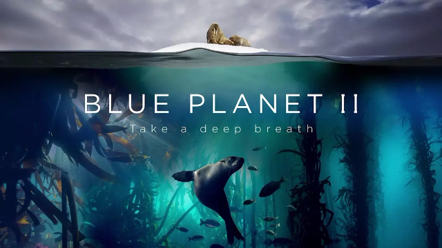 花季传媒app下载免费剧照1